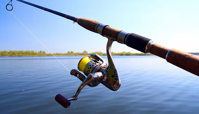 Best Spinning Rod for Bass