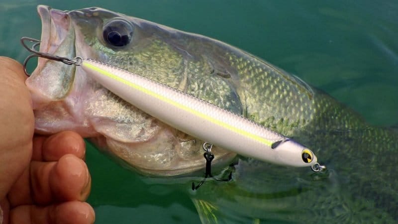 Best Smallmouth Bass Lures - TackleXpert