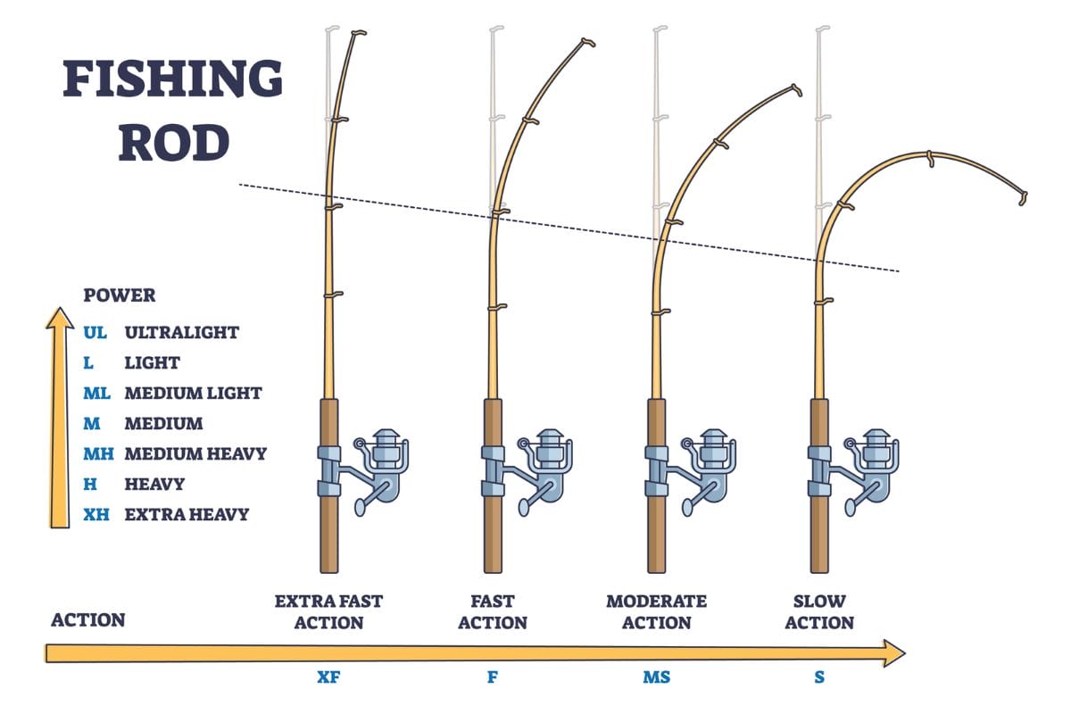 Fishing Rod Action vs Power - What's the Difference? - TackleXpert