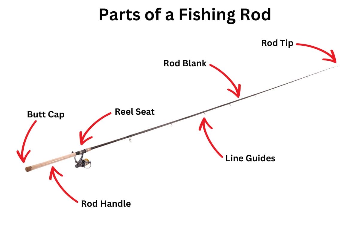 7 Different Parts of a Fishing Rod - TackleXpert